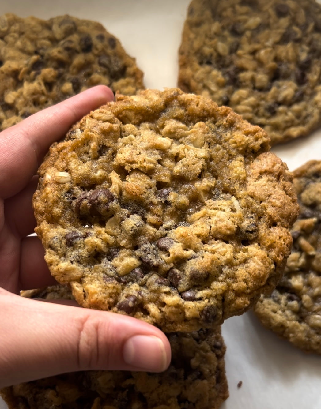 Organic Oatmeal Chocolate Chip Cookies